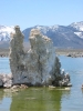 PICTURES/Mono Lake/t_South Tufa Trail12.JPG